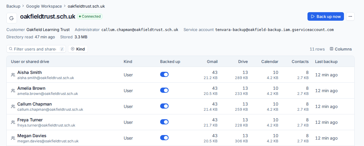 A Google Workspace domain with its users and shared drives