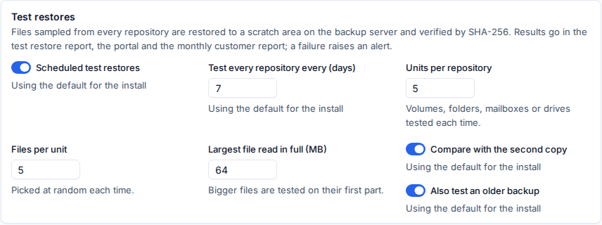 Test restore settings on the Protection tab