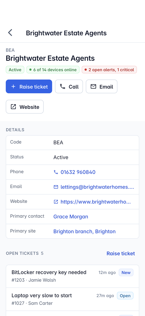A customer with Raise ticket, Call, Email and Website, details and open tickets